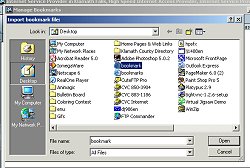 How to Import Favorites to CVC Internet using Netscape